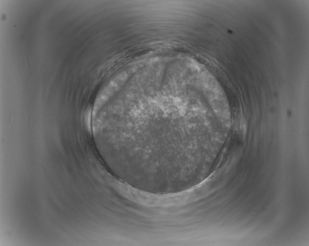 X0000066100047200604071833