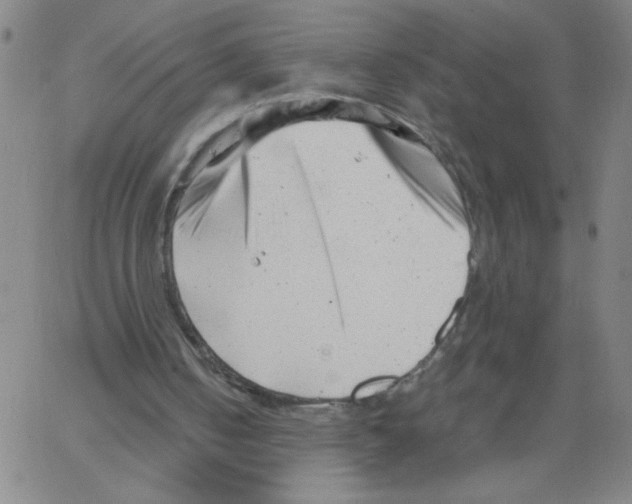 X0000066100050200604071832