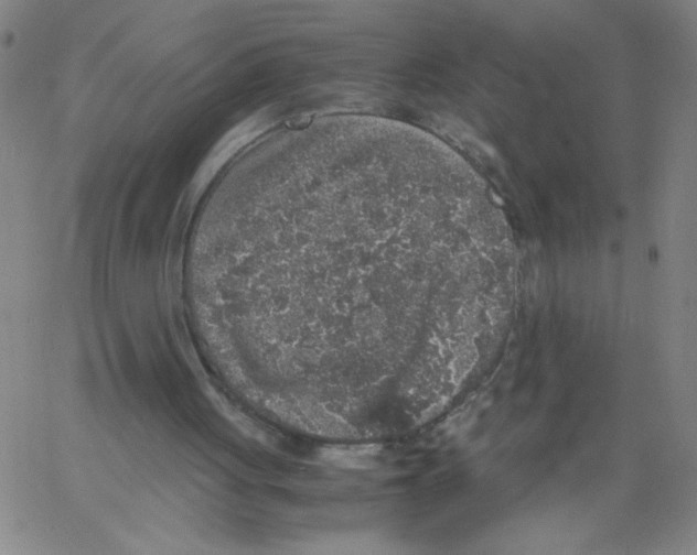 X0000066100051200604071832