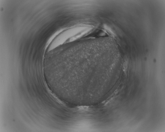 X0000066100052200604071832