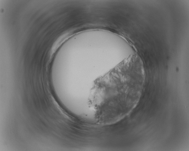 X0000066100053200604071832