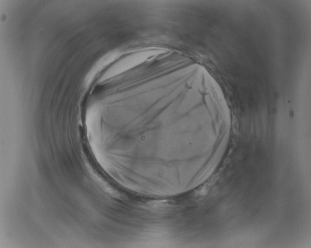 X0000066100054200604071832