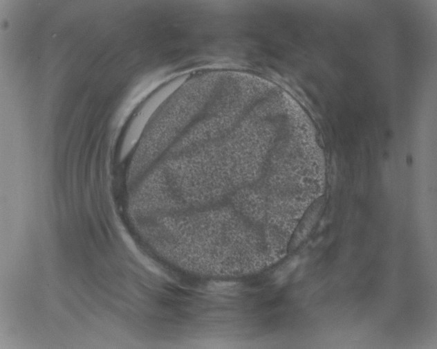 X0000066100055200604071832