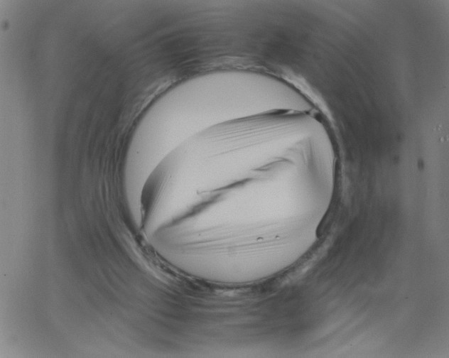 X0000066100057200604071832