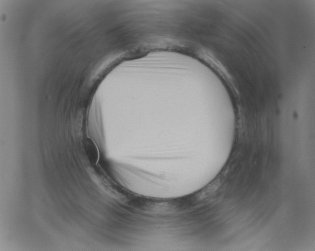 X0000066100058200604071832