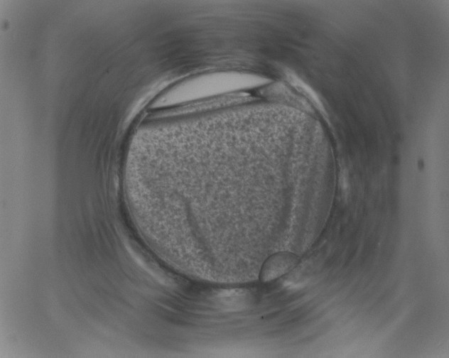 X0000066100059200604071832