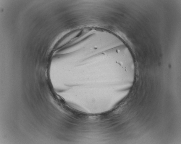 X0000066100060200604071832