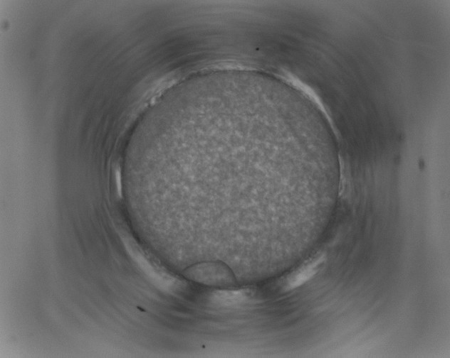 X0000066100061200604071832