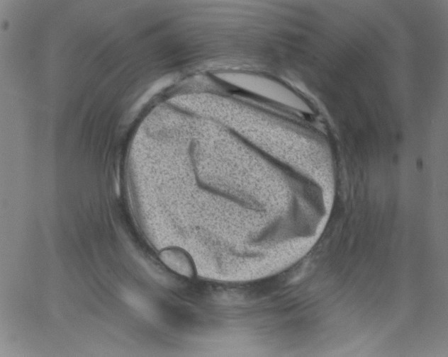 X0000066100062200604071832