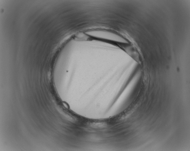 X0000066100063200604071832