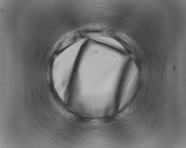 X0000066100064200604071832