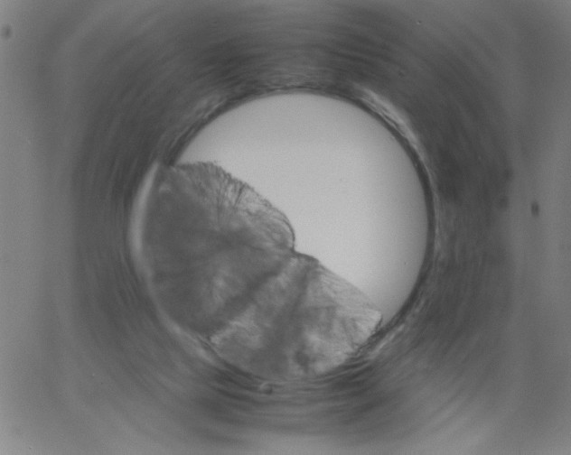 X0000066100065200604071832