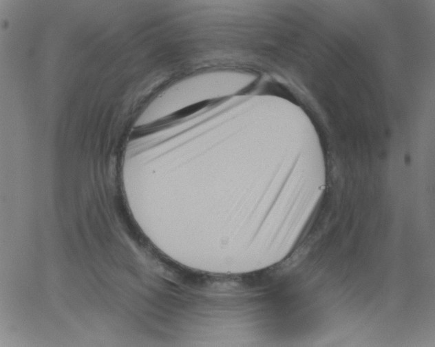 X0000066100066200604071832