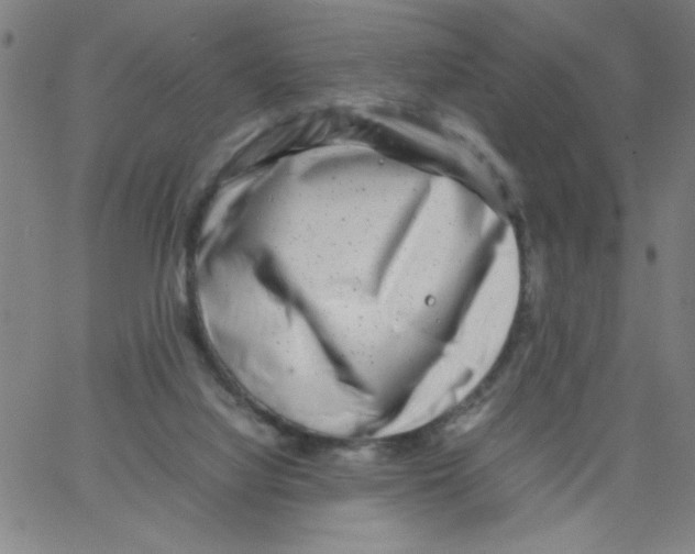 X0000066100068200604071833