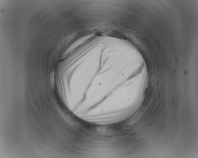 X0000066100070200604071833