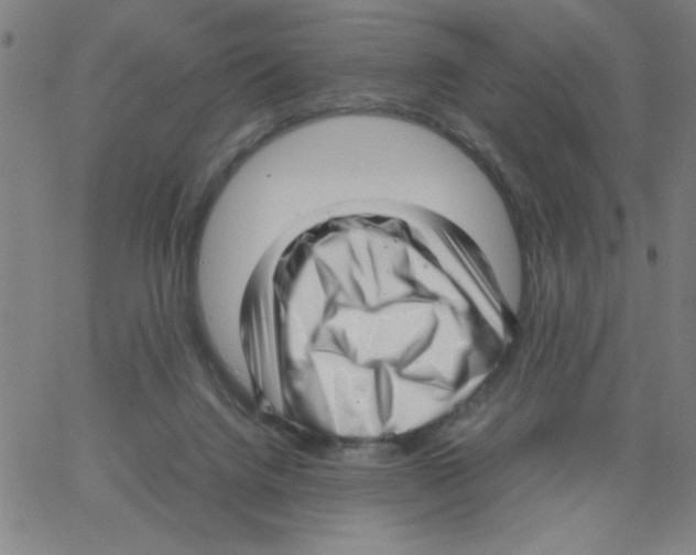 X0000066100072200604071833