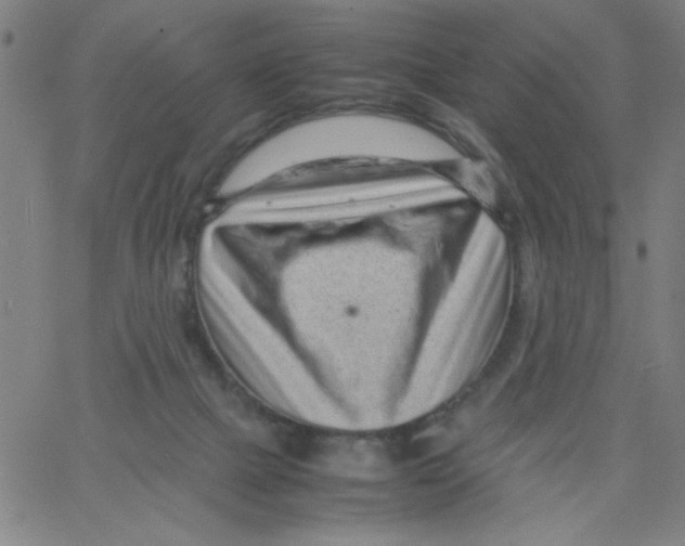 X0000066100073200604071833