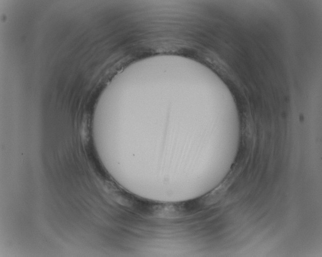 X0000066100074200604071833