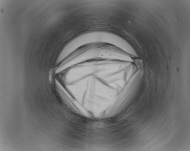 X0000066100075200604071833