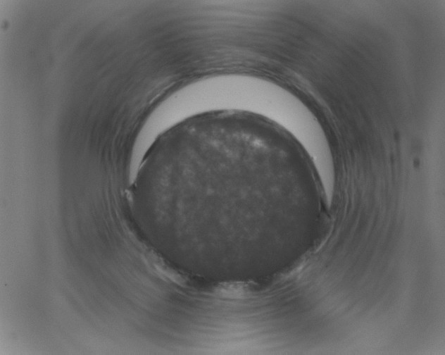 X0000066100076200604071833