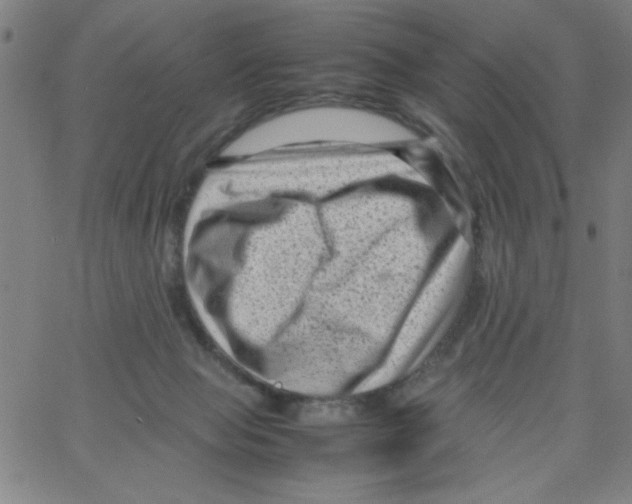 X0000066100077200604071833