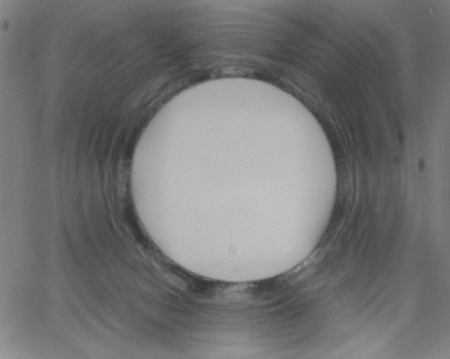 X0000066100078200604071833