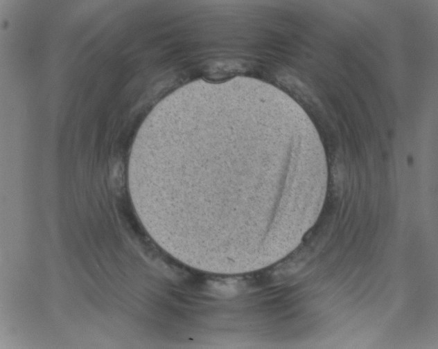 X0000066100079200604071833