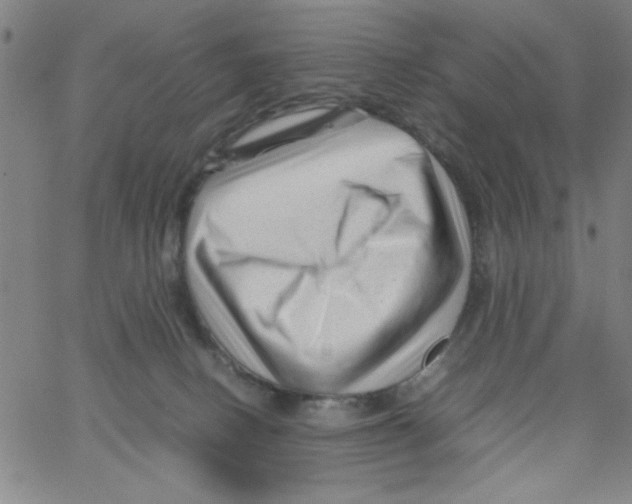 X0000066100082200604071833