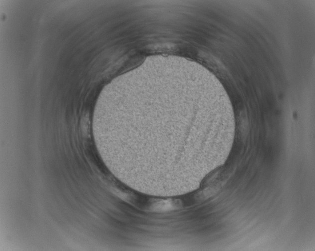 X0000066100083200604071833