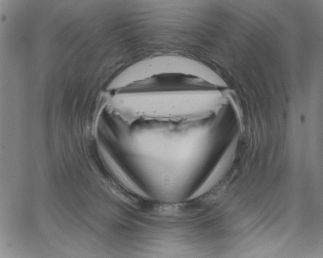 X0000066100084200604071833