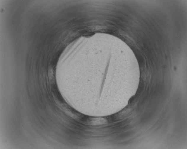 X0000066100087200604071833