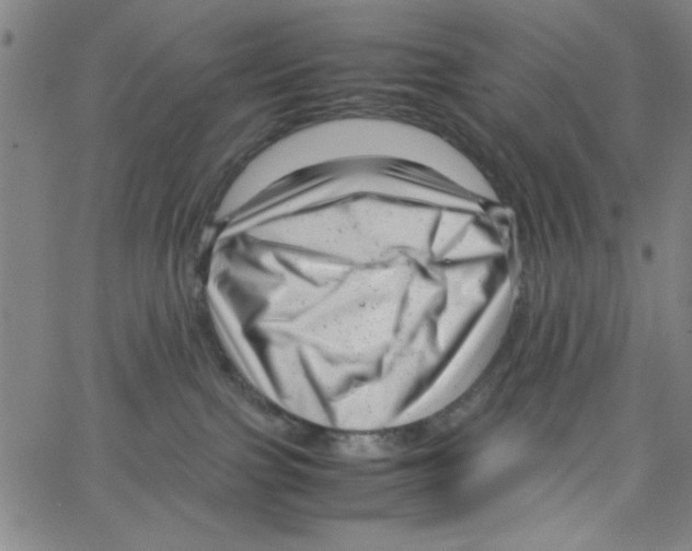 X0000066100091200604071833