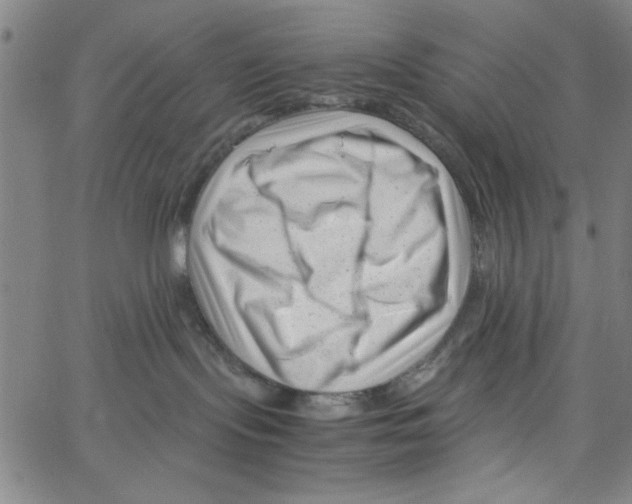 X0000066100095200604071833