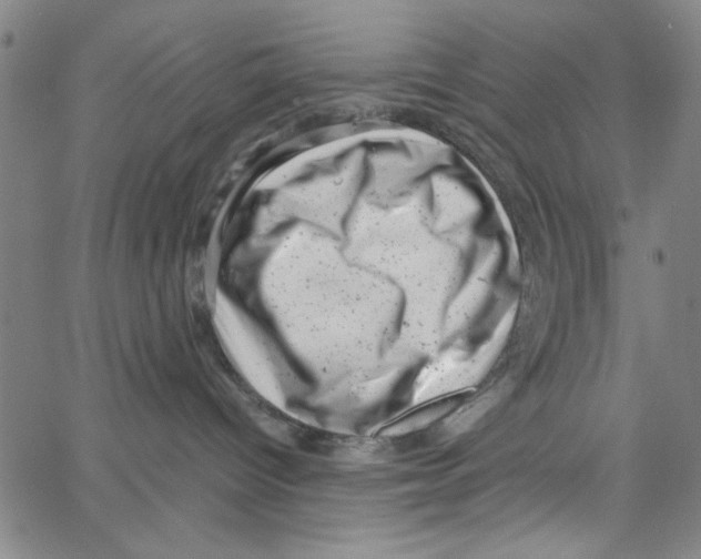 X0000066100096200604071833