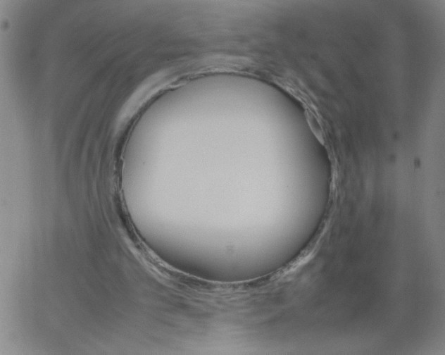 X0000066100101200604071832