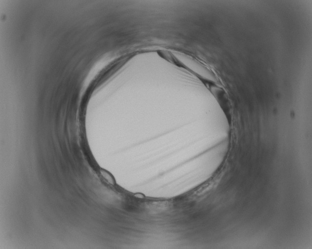 X0000066100102200604071832