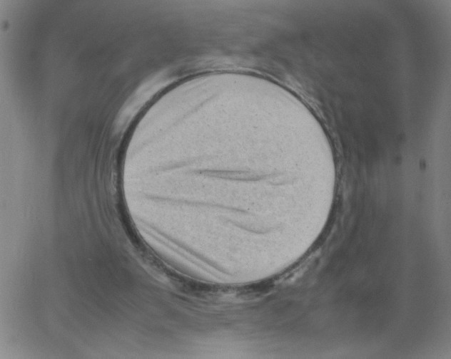 X0000066100103200604071832