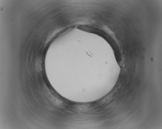 X0000066100106200604071832