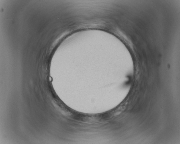 X0000066100107200604071832