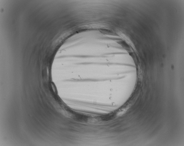 X0000066100109200604071832