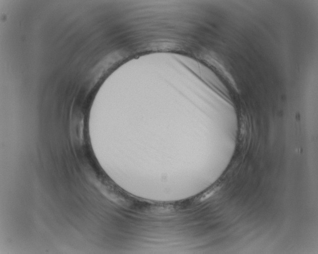 X0000066100110200604071832