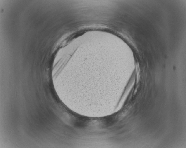 X0000066100111200604071832