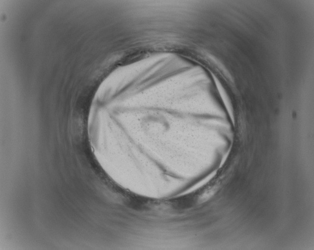 X0000066100113200604071832