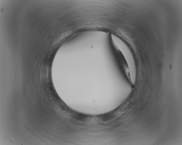 X0000066100115200604071832