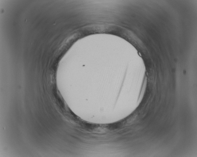 X0000066100119200604071832