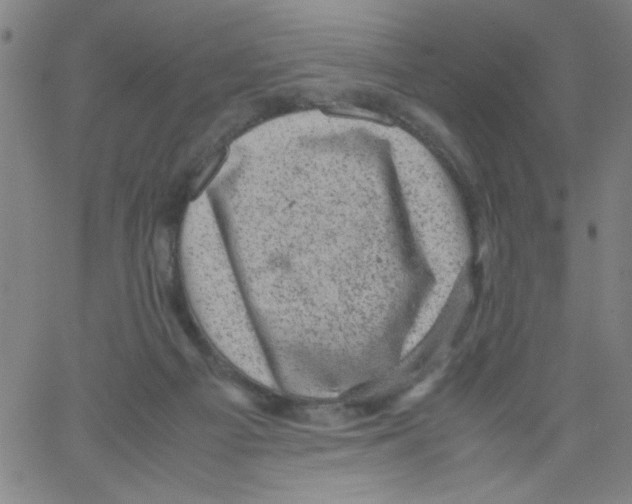 X0000066100121200604071832