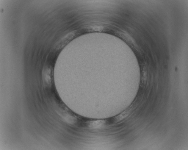 X0000066100122200604071832