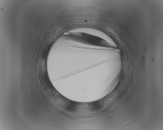 X0000066100123200604071832