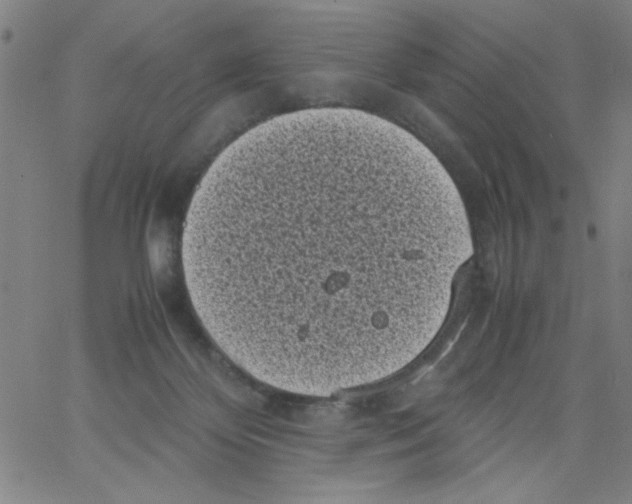 X0000066100124200604071832