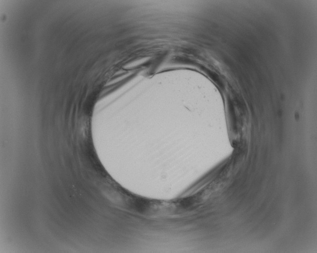 X0000066100125200604071832